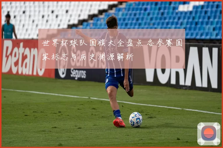 世界杯球队国旗大全盘点 各参赛国家标志与历史渊源解析