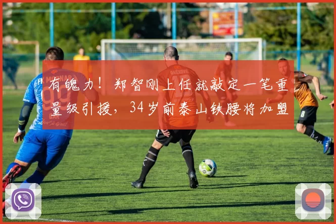 有魄力！郑智刚上任就敲定一笔重量级引援，34岁前泰山铁腰将加盟_彭欣_帅郑智_西海岸