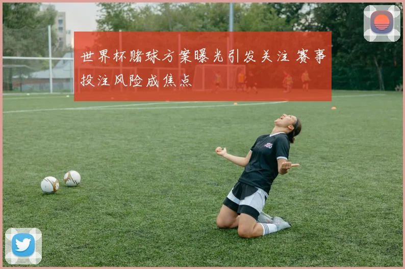 世界杯赌球方案曝光引发关注 赛事投注风险成焦点
