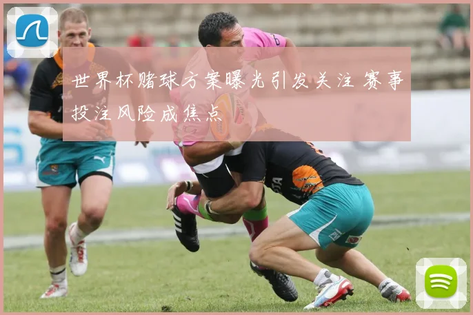 世界杯赌球方案曝光引发关注 赛事投注风险成焦点